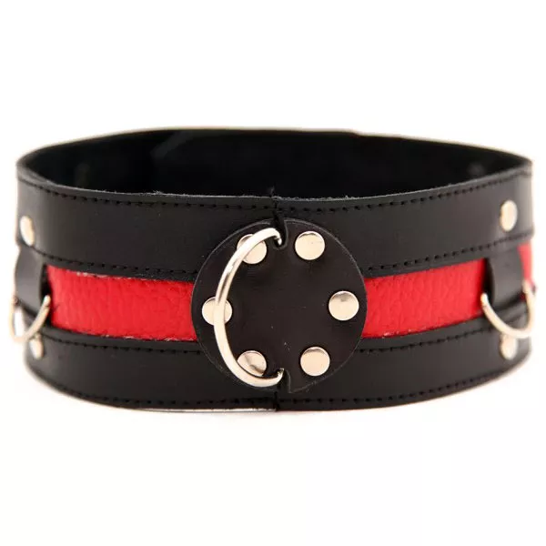 ЧЁРНЫЙ ОШЕЙНИК С КРАСНОЙ ПОЛОСОЙ. Вид 1.