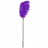 СТЕК С БОЛЬШИМ ФИОЛЕТОВЫМ ПЕРОМ LARGE FEATHER TICKLER (65 СМ). Вид 1.