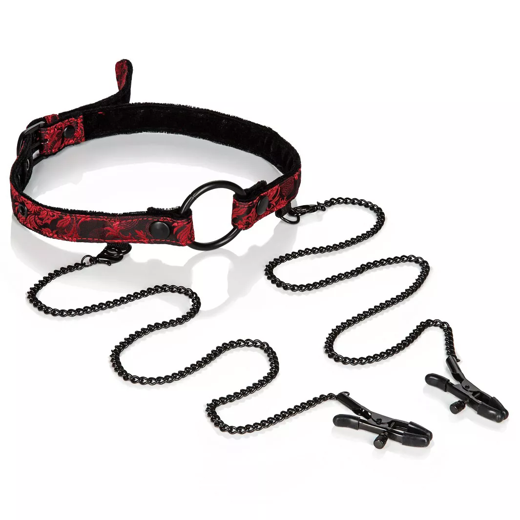 КЛЯП-РАМКА С ЗАЖИМАМИ НА СОСКИ SCANDAL OPEN MOUTH GAG WITH CLAMPS. Вид 1.