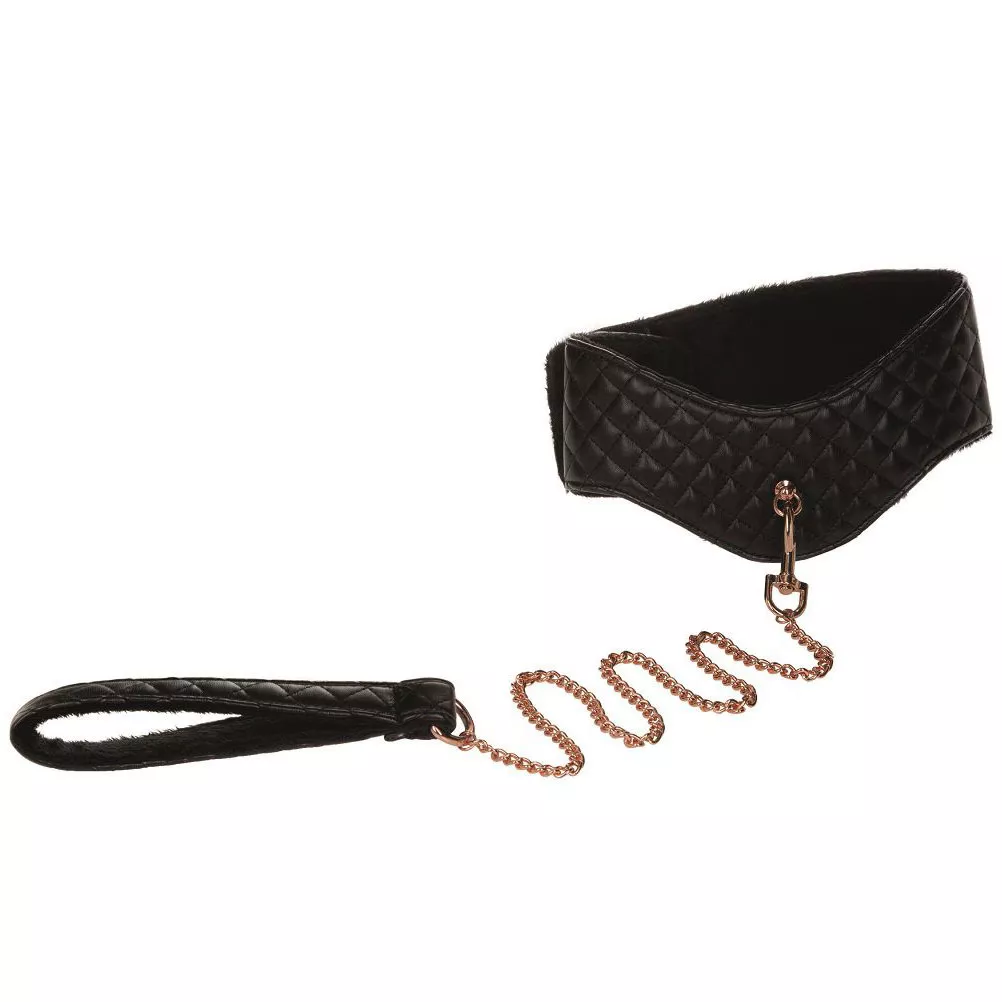 ОШЕЙНИК С ПОВОДКОМ ENTICE POSTURE COLLAR WITH LEASH. Вид 1.
