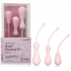 НАБОР ИЗ 3-Х ВАГИНАЛЬНЫХ КЕГЕЛЬ - МАССАЖЁРОВ KEGEL TRAINING KIT. Вид 4.