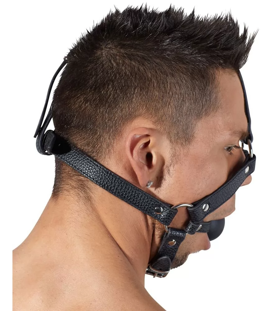 КЛЯП-НАМОРДНИК С ФИКСАЦИЕЙ НА ГОЛОВУ HEAD HARNESS. Вид 2.