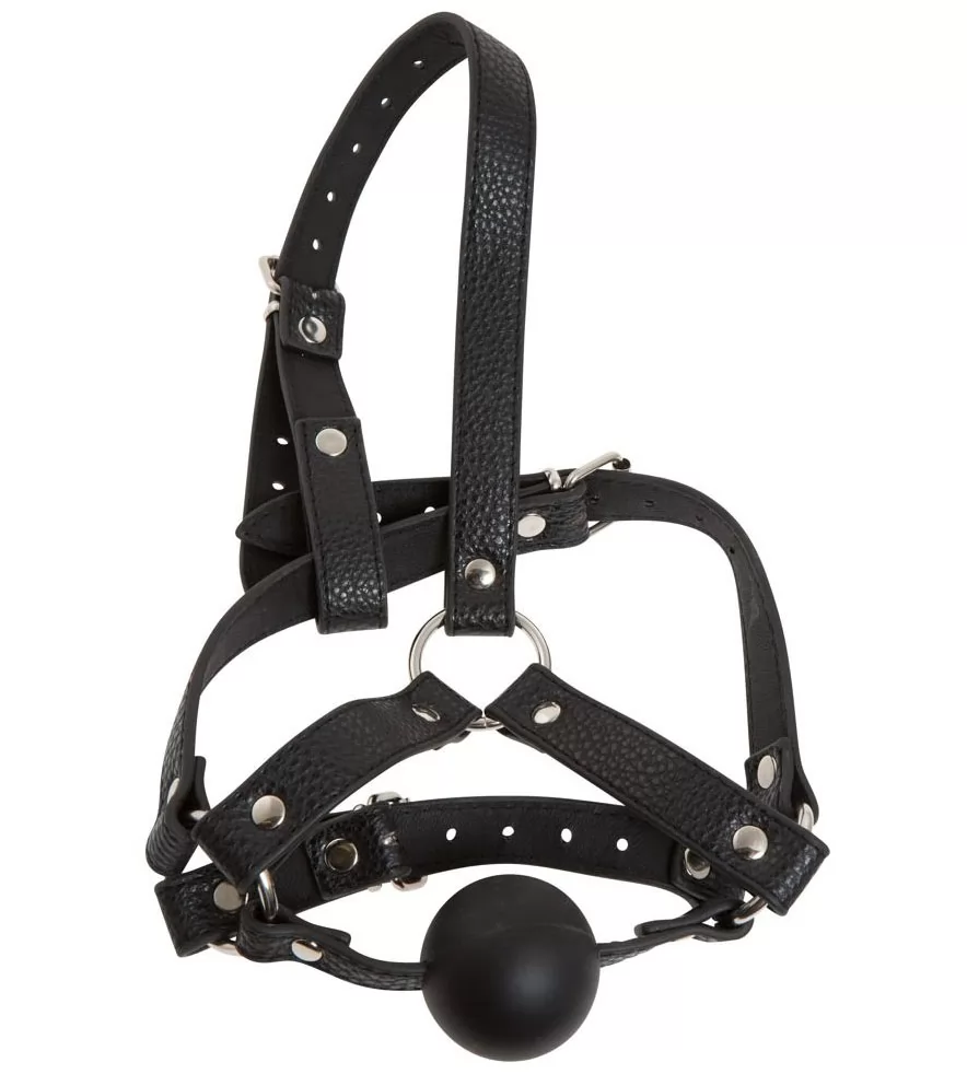 КЛЯП-НАМОРДНИК С ФИКСАЦИЕЙ НА ГОЛОВУ HEAD HARNESS. Вид 4.