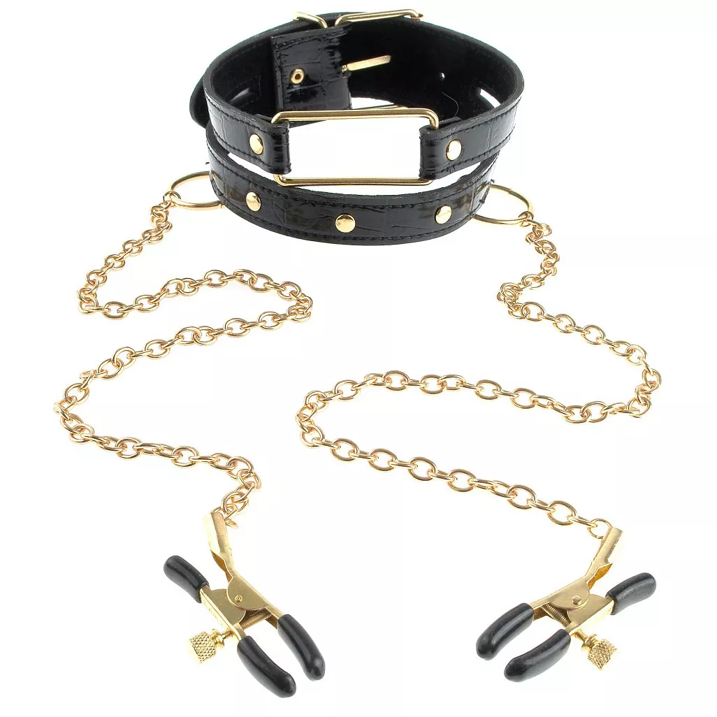 ОШЕЙНИК С ЗАЖИМАМИ НА СОСКИ GOLD COLLAR AND NIPPLE CLAMPS. Вид 1.